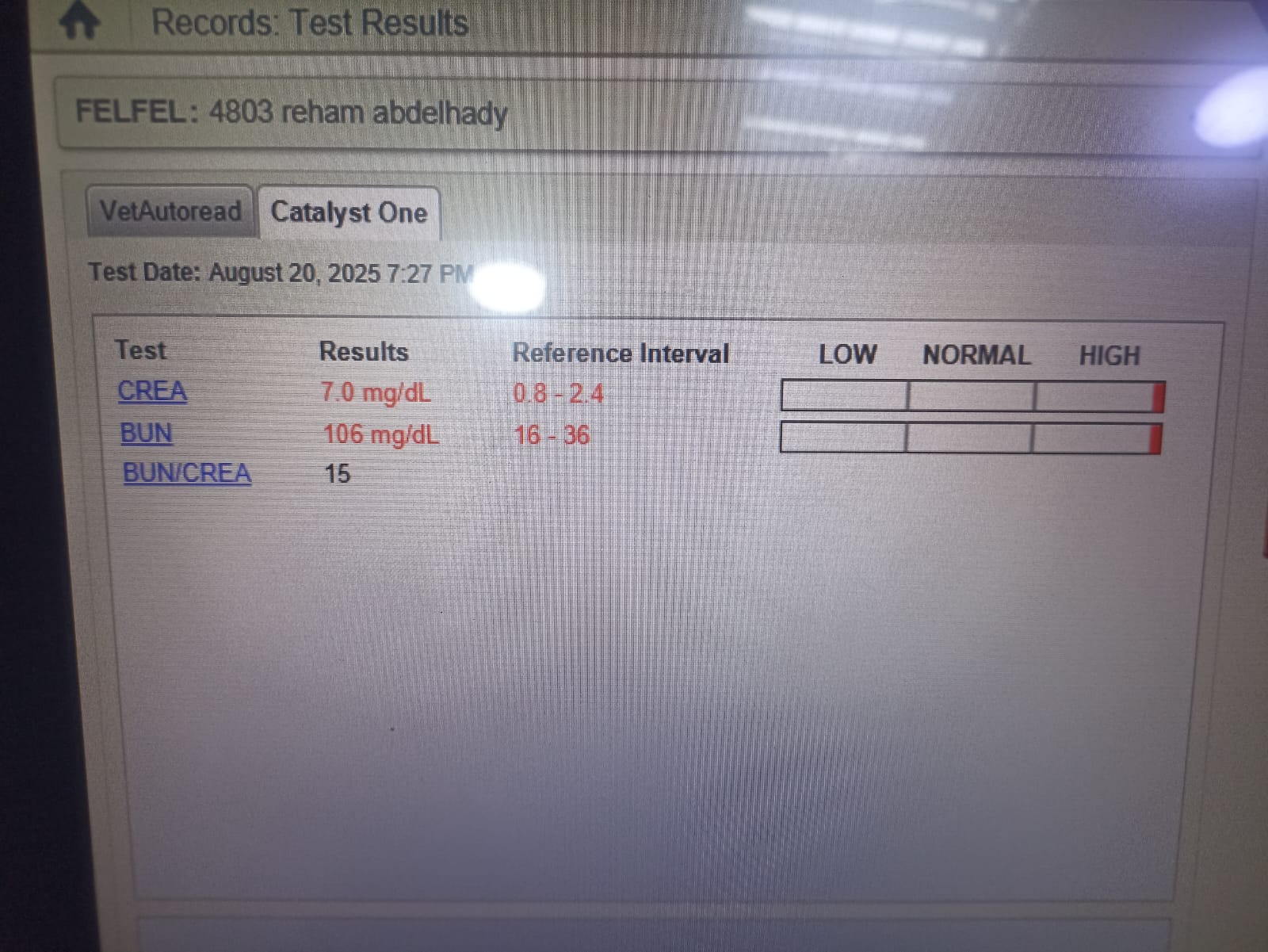 Felfel Before Treatment