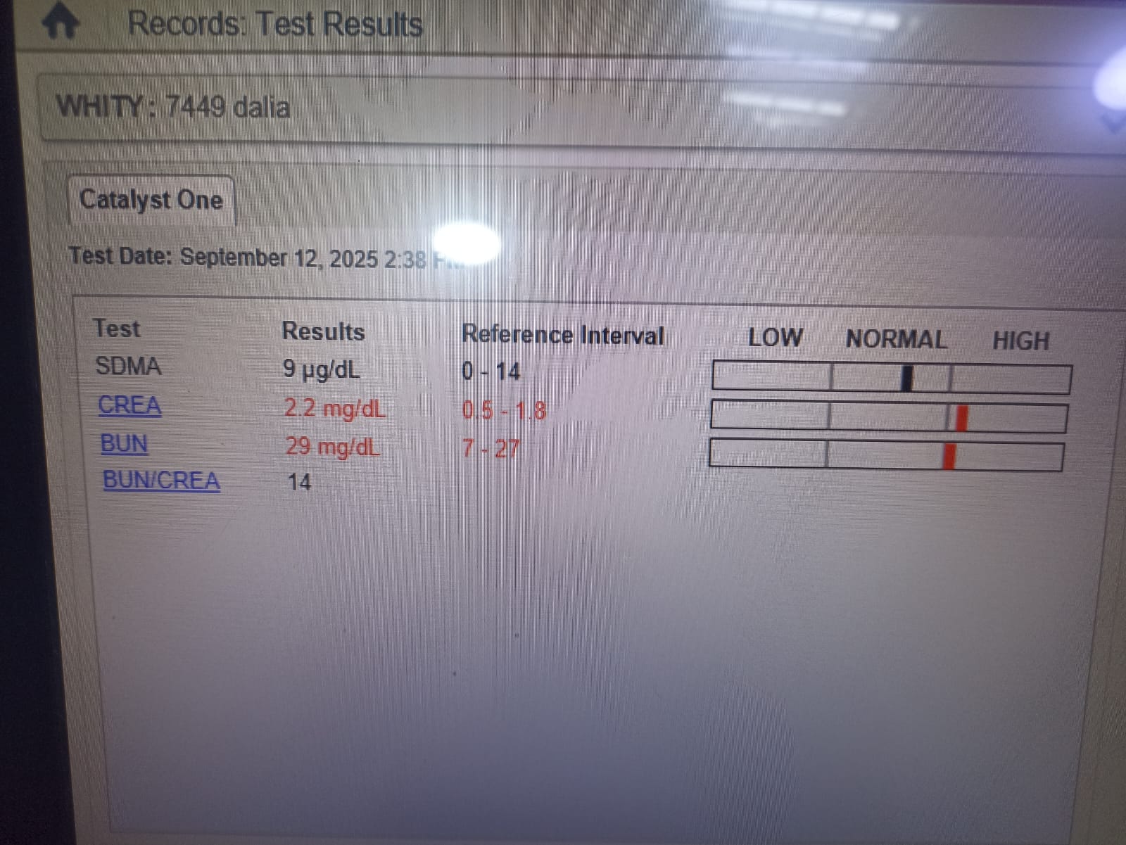 Whitey After Treatment